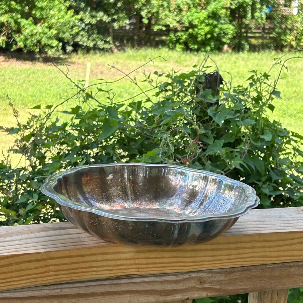 Dish /bowl